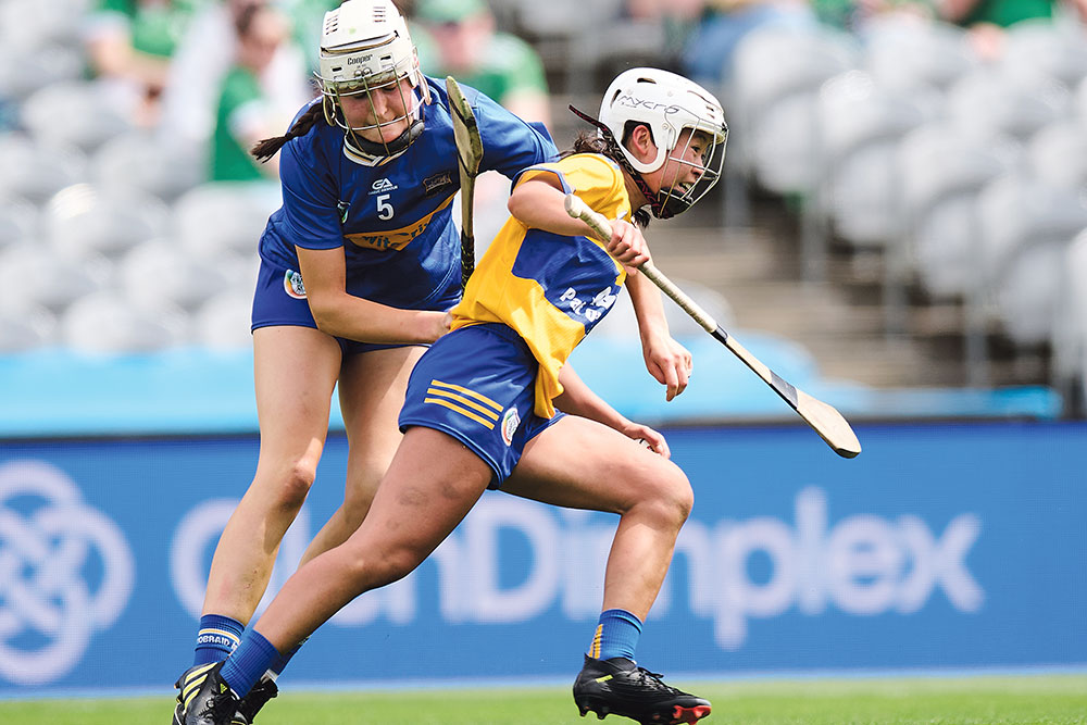 No glory but Clare make an Elle-n of a comeback - The Clare Champion